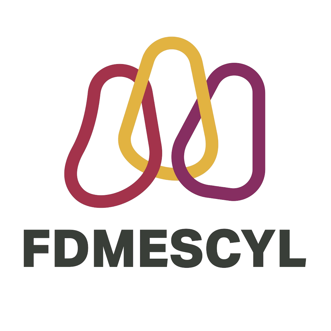 Logo TFDMESCYL